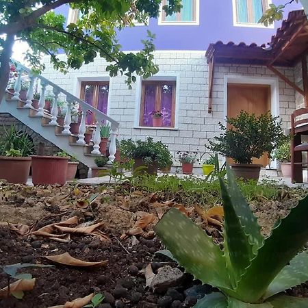 Guesthouse Hlias Gloria Berat Bagian luar foto