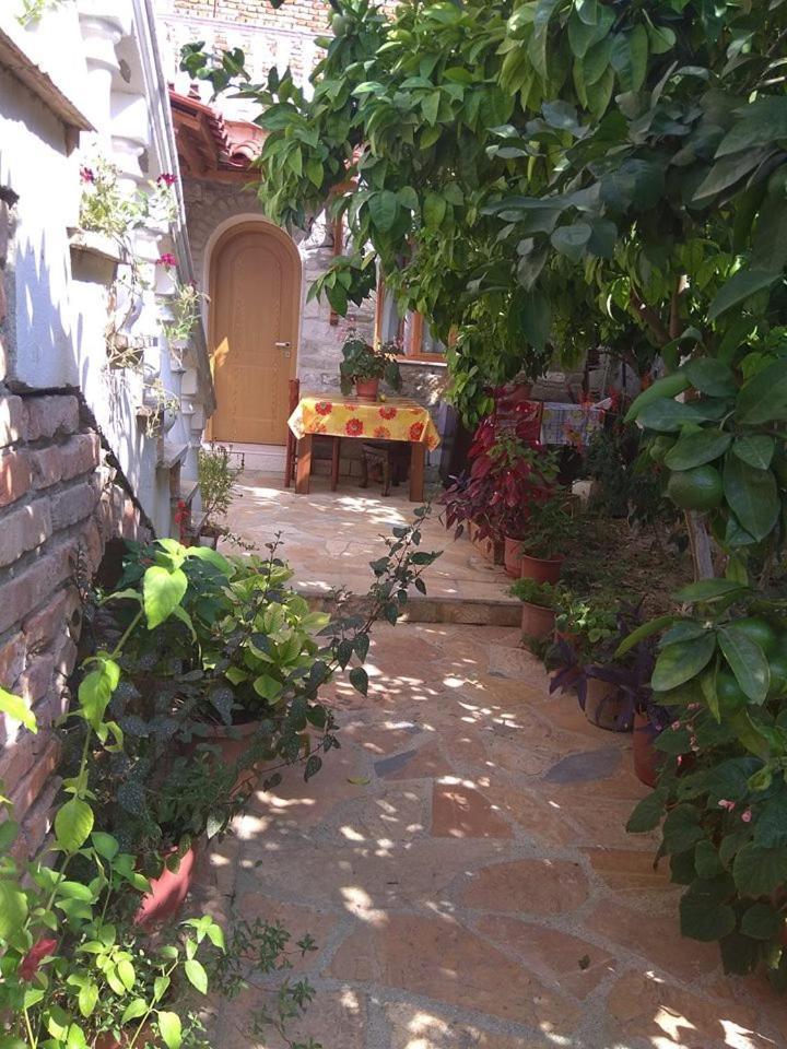 Guesthouse Hlias Gloria Berat Bagian luar foto