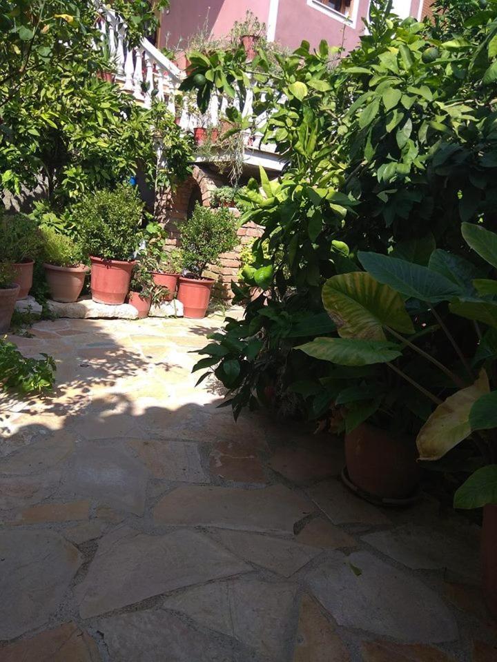 Guesthouse Hlias Gloria Berat Bagian luar foto